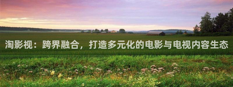 好看影院大全：淘影視：跨界融合，打造多元化的電影與電視內(nèi)容生態(tài)