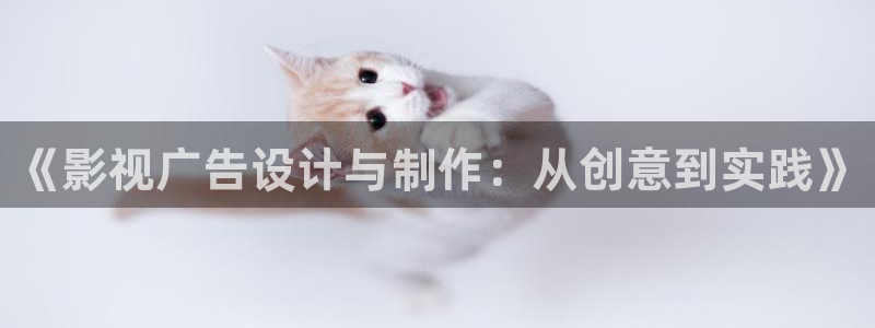 《四庫(kù)影視》電視劇在線觀看-好看影院：《影視廣告設(shè)計(jì)與制作：從創(chuàng)意到實(shí)踐》