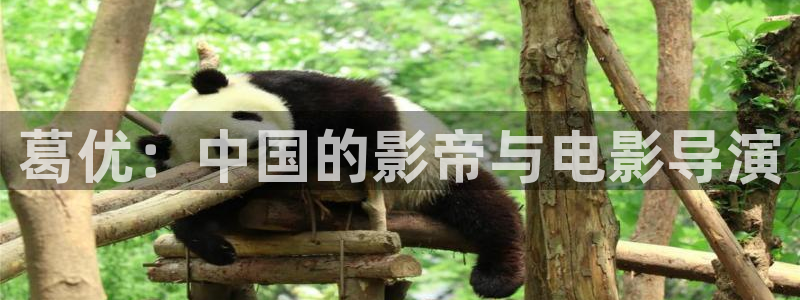 好看影院在線觀看電影：葛優(yōu)：中國(guó)的影帝與電影導(dǎo)演